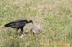 IMG_2835