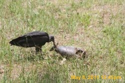IMG_2836