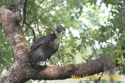 IMG_2861