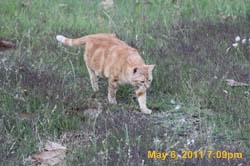 IMG_0020