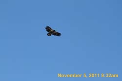 IMG_4343
