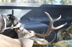 IMG_4358