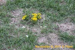 IMG_4404