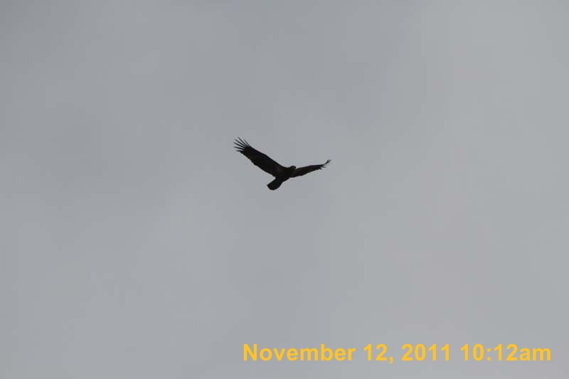 IMG_0174