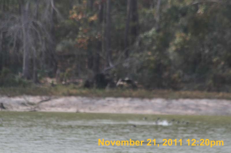 IMG_0191