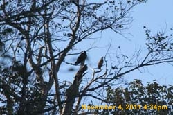 IMG_0078