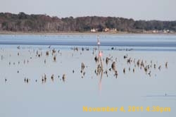 IMG_0080