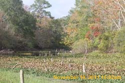 IMG_0180