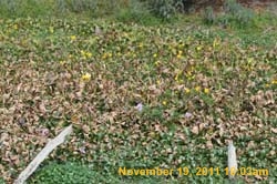 IMG_0182