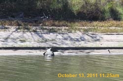 IMG_9898