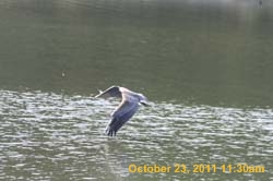 IMG_9926