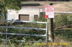 IMG_9948