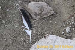 IMG_0028