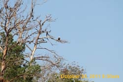 IMG_0034