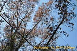 IMG_3852