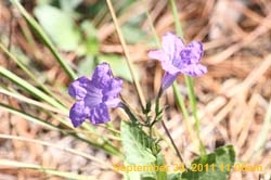 IMG_9848