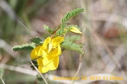 IMG_9852