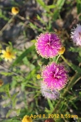 IMG_1940