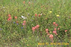 IMG_2010