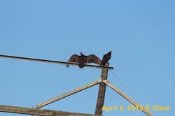 IMG_0434