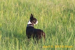 IMG_0450