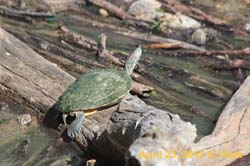 IMG_0660