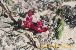 IMG_0672