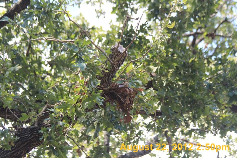 IMG_1305