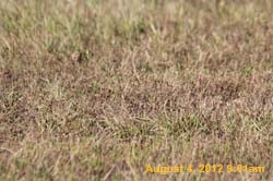 IMG_1234