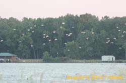 IMG_1259