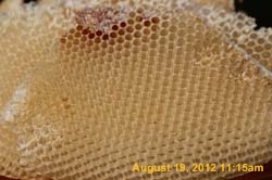 IMG_1281