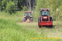 IMG_1285