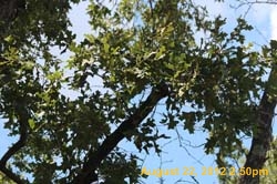 IMG_1303