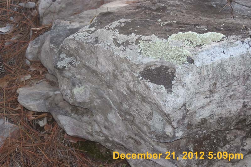 IMG_4717