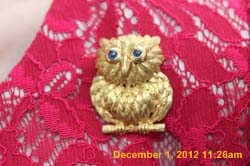 IMG_4397