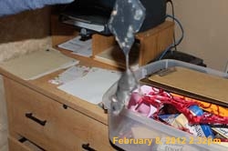 IMG_0777