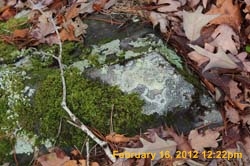 IMG_0888
