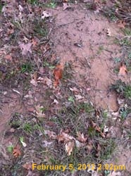 IMG_1191