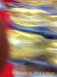 IMG_1245