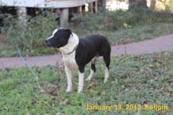 IMG_0121