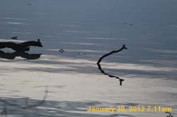 IMG_0544