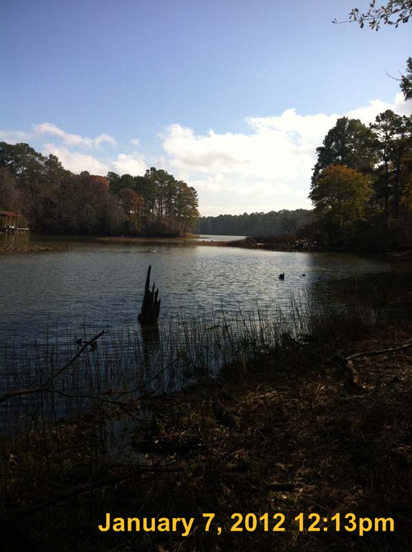 IMG_0901