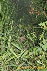 IMG_2530