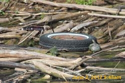 IMG_0949