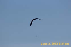 IMG_0955