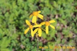 IMG_1569