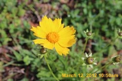 IMG_1572