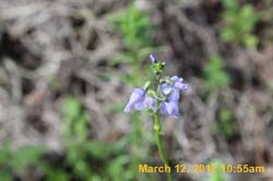 IMG_1587