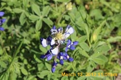 IMG_1600