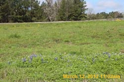 IMG_1602